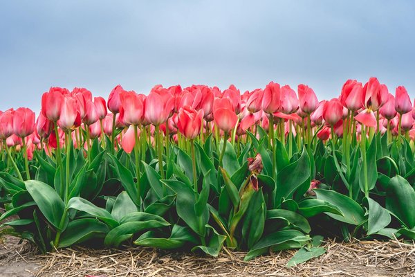 Comment les matériaux recyclés transforment-ils la construction résidentielle ?